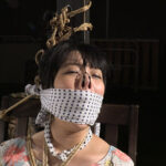 背徳の縄が紡ぐ美と悦びの夜